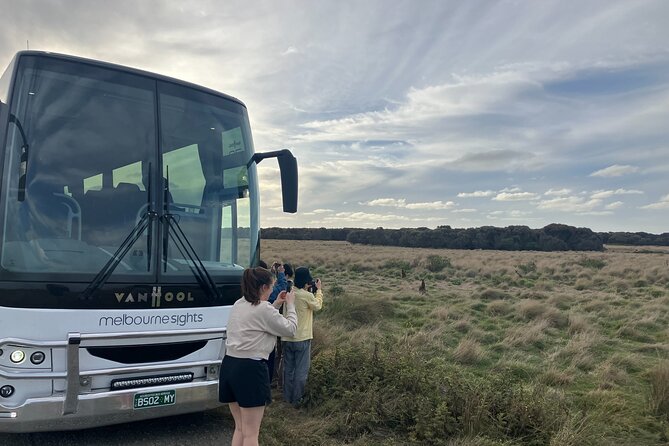 Phillip Island Penguin Parade Express Tour from Melbourne - A note about extra wildlife stops