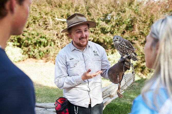 Phillip Island Penguin Parade, Wildlife and Beach Boxes Bus Tour - The guides can shape the whole experience