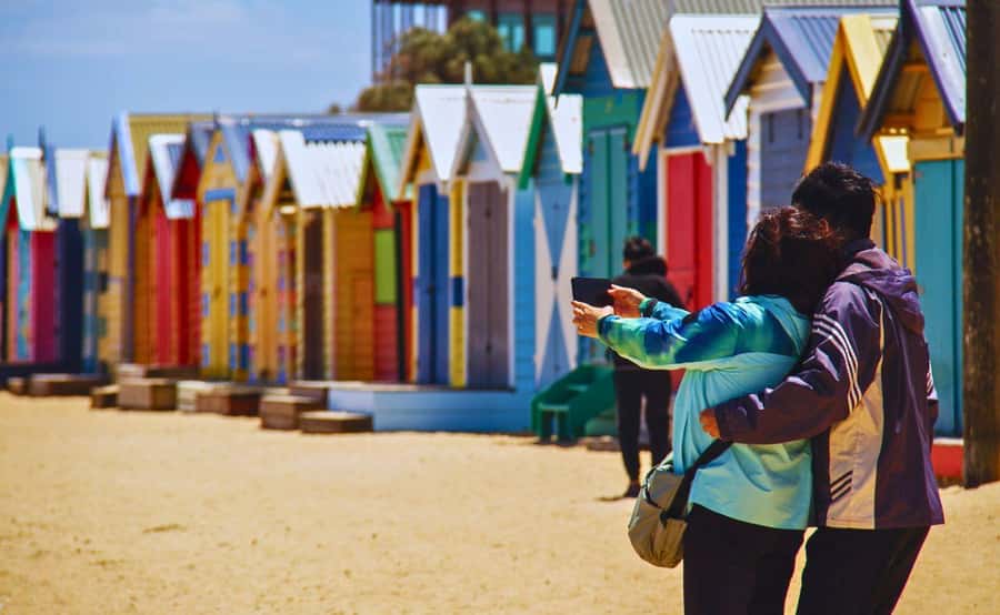 Phillip Island Penguin Parade with Expert Local Guide - Why the little penguins are worth the long day