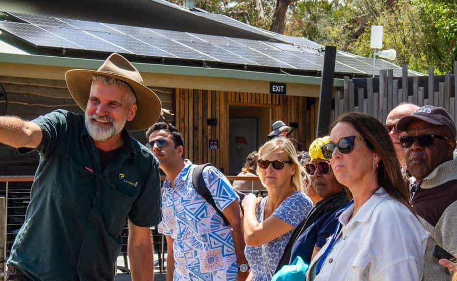 Phillip Island Penguin Parade with Expert Local Guide - Cape Woolamai shows Phillip Island at its wildest