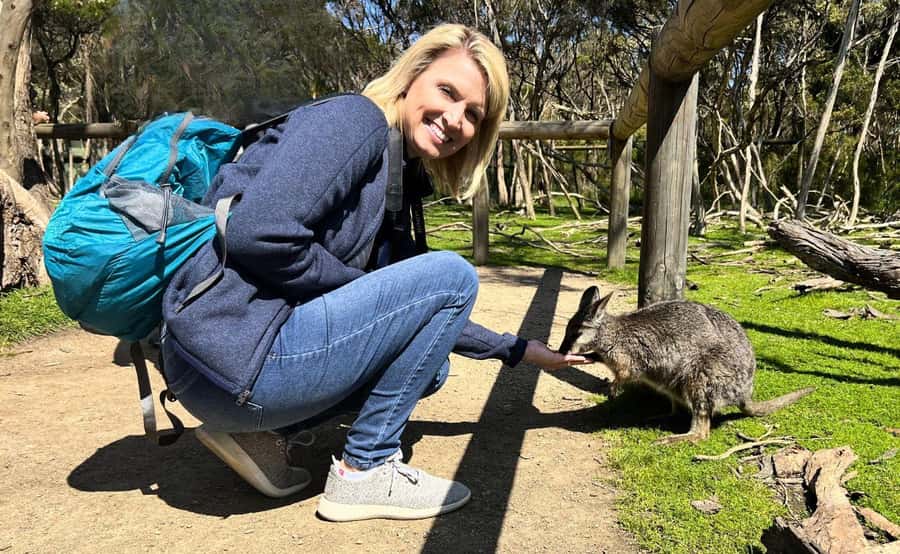 Phillip Island Penguin Parade with Expert Local Guide - The Nobbies is the best scenery before dark