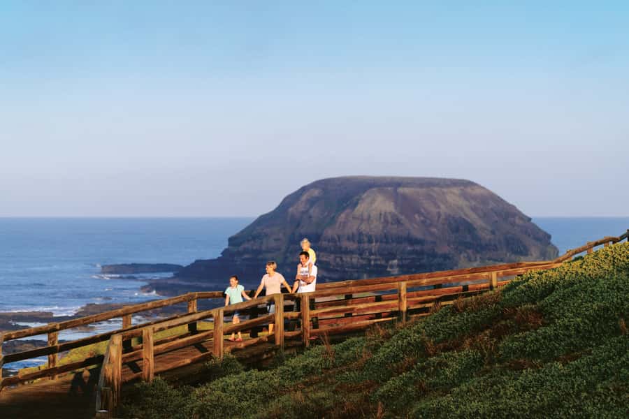 Phillip Island: Penguins and Wildlife Full-Day Tour - Key points to know before booking