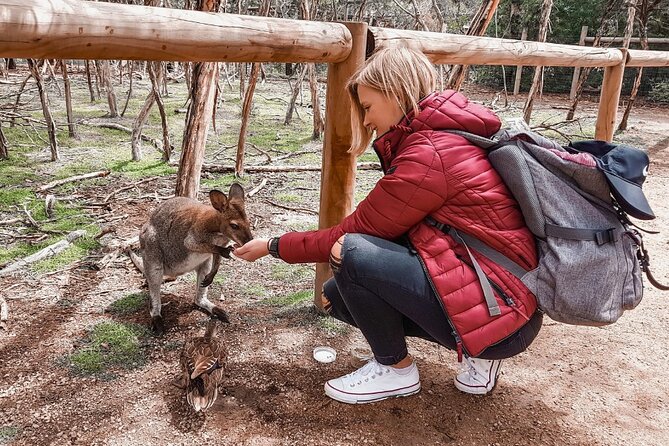 Phillip Island Penguins & Wildlife Day Tour from Melbourne - Moonlit Sanctuary brings Australia’s animals close