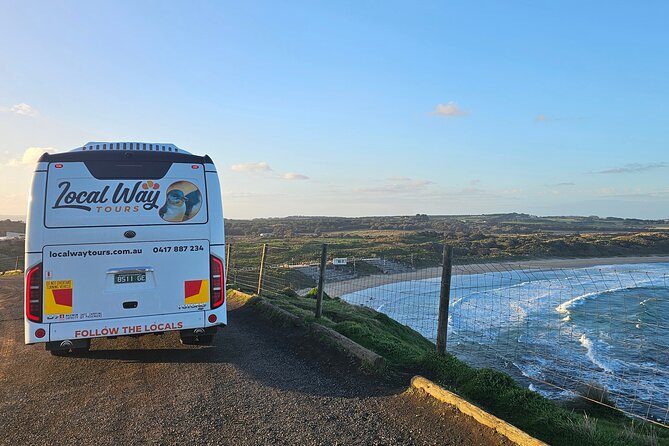Phillip Island Wildlife Cruise and Penguin Tour from Melbourne - Choosing between koalas and Cowes