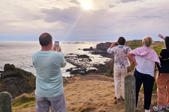 Phillip Island Wildlife Cruise and Penguin Tour from Melbourne - The two-hour wildlife cruise from Cowes