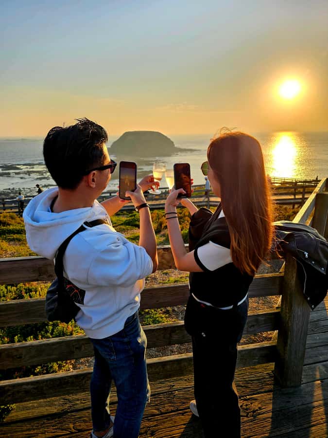 Phillip Island: Wine, Wildlife & Penguins with Gourmet Feast - Pickup, the midi coach, and the first look at the island