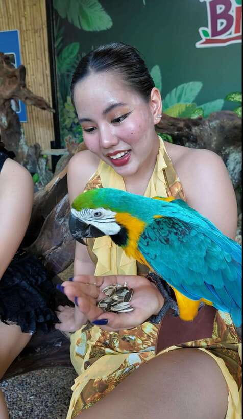 Phuket: Bird Park Entry Ticket - Key points to know before you go