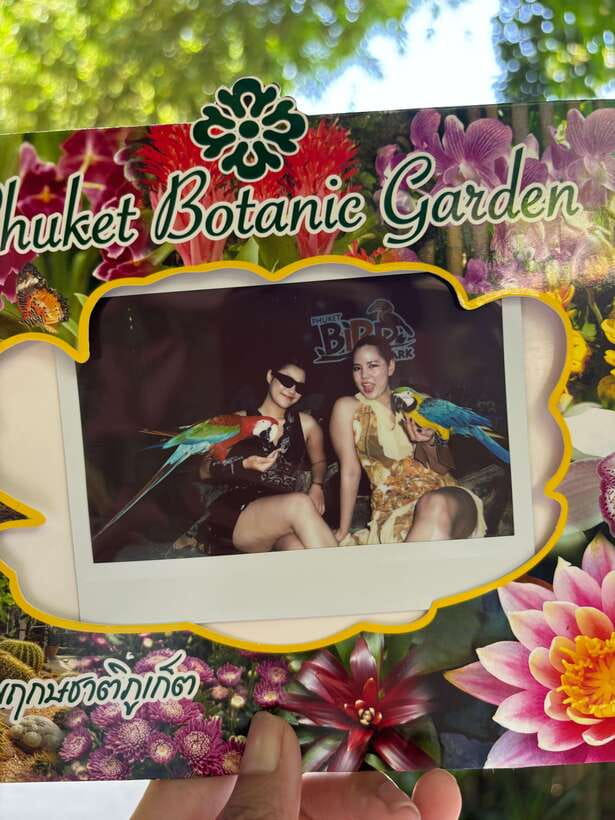Phuket: Bird Park Entry Ticket - A bird park away from Phuket’s beaches