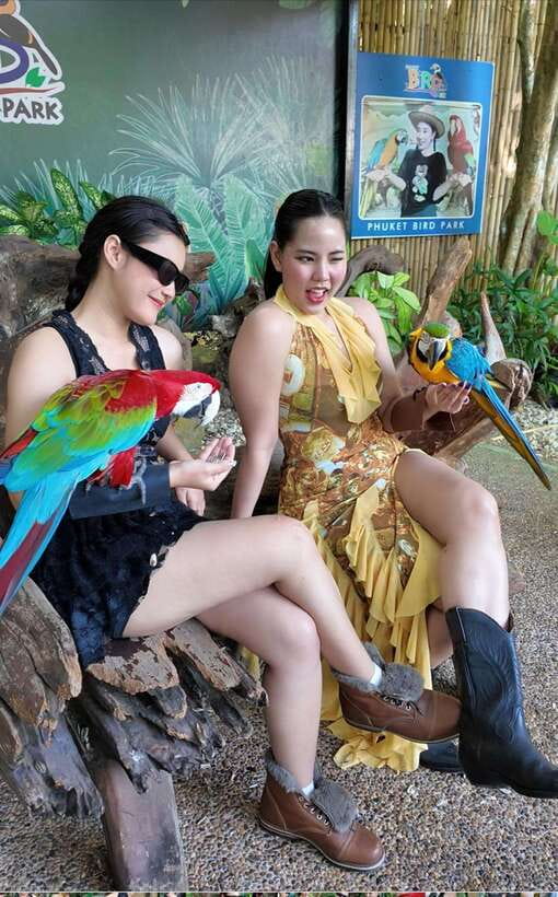 Phuket: Bird Park Entry Ticket - Is $28 a fair price?