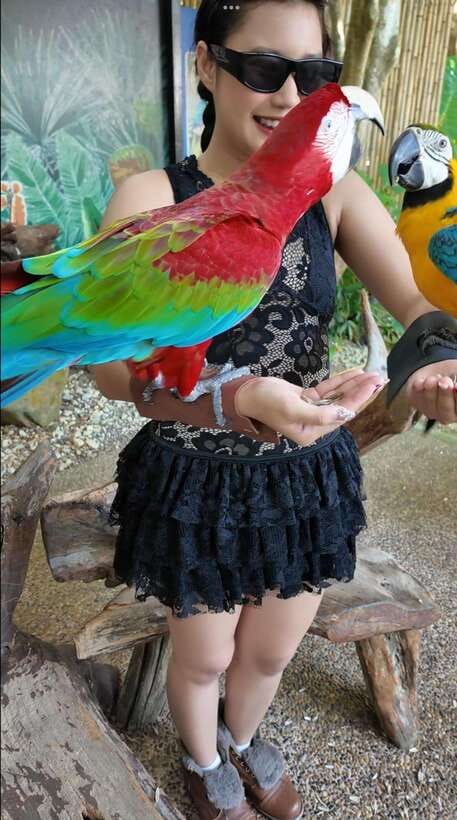 Phuket: Bird Park Entry Ticket - Booking, cancellation, and timing