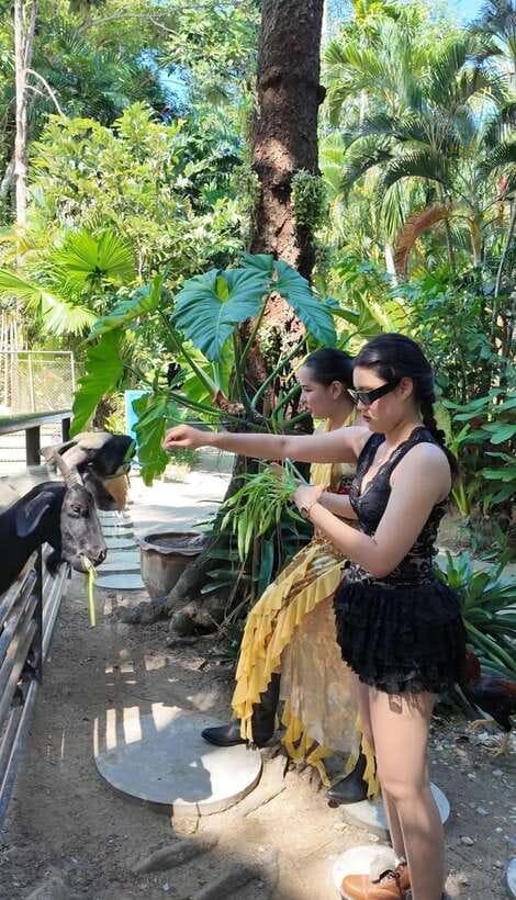 Phuket: Bird Park Entry Ticket - What your visit is likely to include