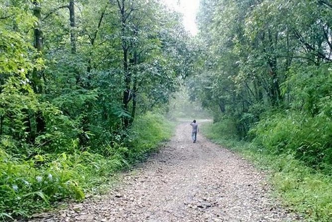 Phulchoki bird-watching tour - Why Phulchoki is worth a full day