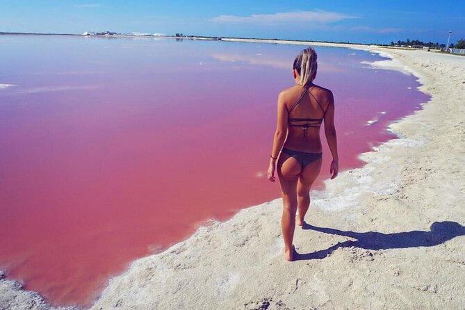 Pink Lake and Flamingo Sightseeing in Rio Lagartos - Food, water, and what the $136 price really covers