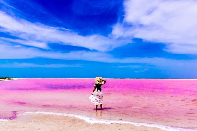 Pink Lake and Flamingo Sightseeing in Rio Lagartos - What you see at the Las Coloradas salt ponds