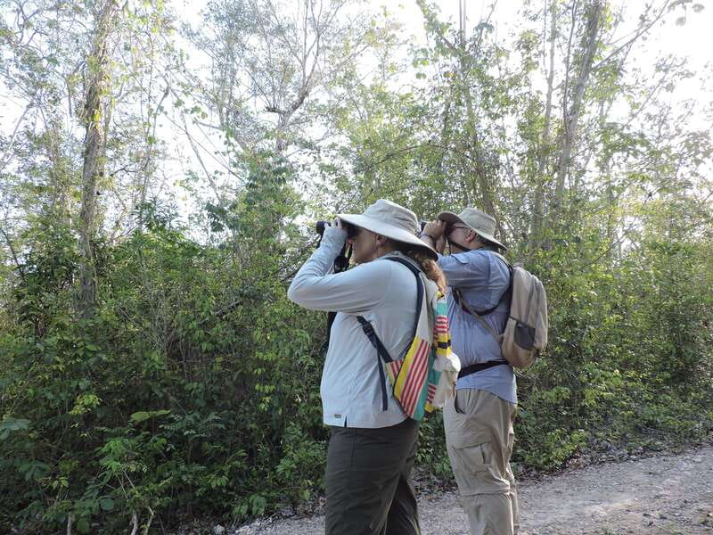 Playa del Carmen: Private Morning Birdwatching Tour - Coffee, fruit, and a practical morning setup