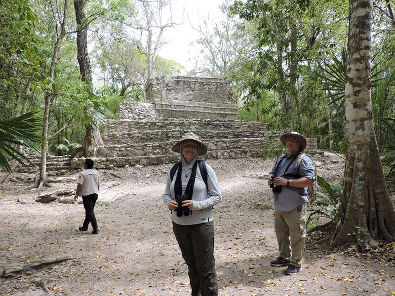 Playa del Carmen: Private Morning Birdwatching Tour - Who will enjoy this private birding tour?