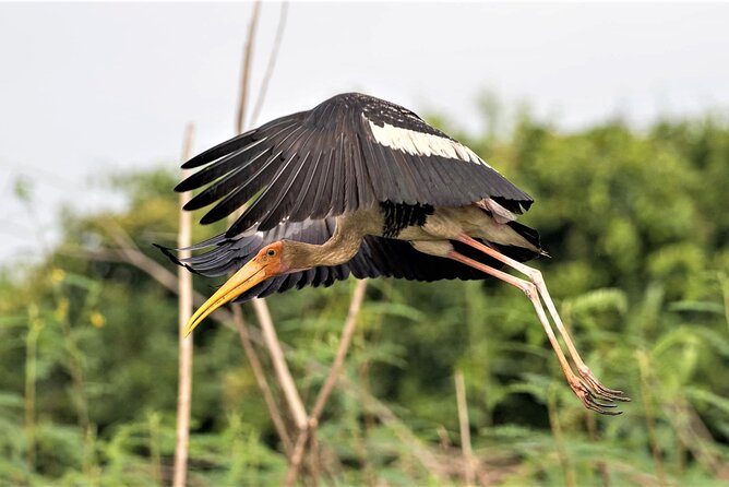 Prek Toal Birds Sanctuary and floating Village Private Day Tour - Chong Kneas, Mechrey, and the Route Home