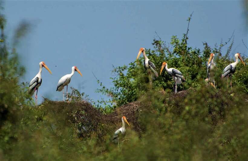 Prek Toal Birds Sanctuary & floating Village Private Tour - Who should book this day?