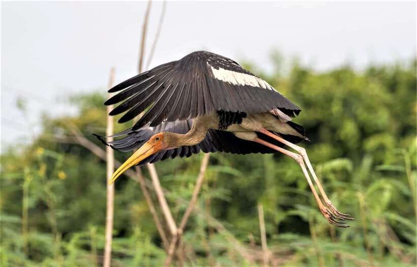 Prek Toal Birds Sanctuary & floating Village Private Tour - Is $179 a fair price?