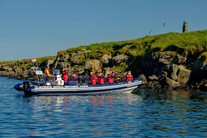 Premium Small-Group Puffin & Bird Watching tour from Reykjavík - Is $105.22 good value?