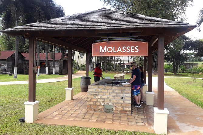 Private Appleton Estate Rum and Pelican Bar Tour from Montego Bay - Appleton Estate, from sugar cane to aging barrels