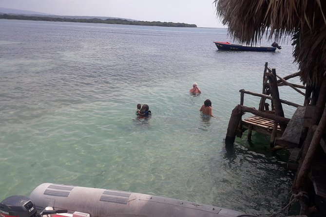 Private Appleton Estate Rum and Pelican Bar Tour from Montego Bay - The private guide makes the difference