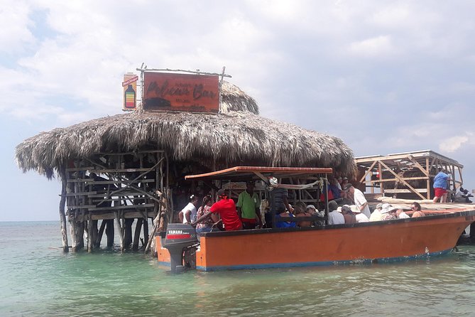Private Appleton Estate Rum and Pelican Bar Tour from Montego Bay - Who should book this experience?