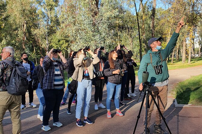 Private Birding Tour in Albania - Why Albania Works So Well for Birding