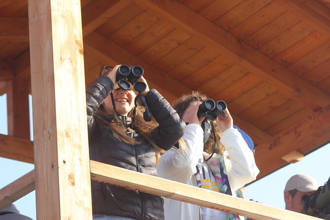 Private Birding Tour in Albania - Your First Morning Begins at Rinas Airport