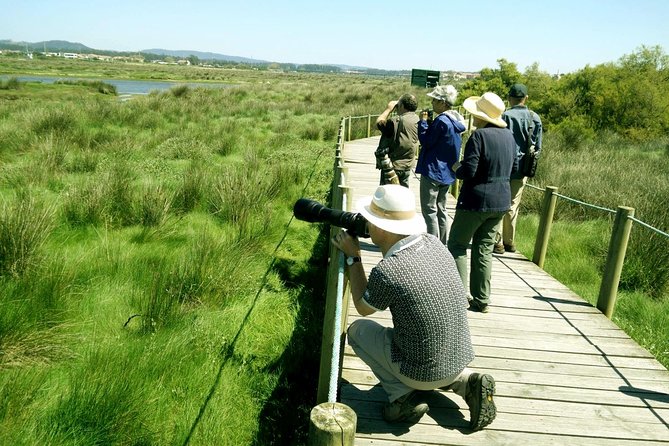 Private Birdwatching from Porto - The 4x4 ride and the coastal route