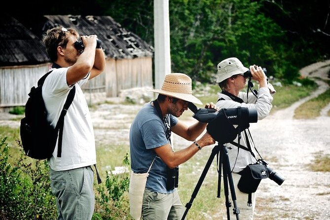 Private Birdwatching Tour in Sian Ka'an Muyil - Three hours of birdwatching needs the right mindset