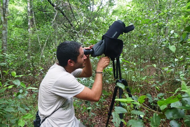 Private Birdwatching Tour in Sian Ka'an Muyil - Who gets the most from this Muyil tour