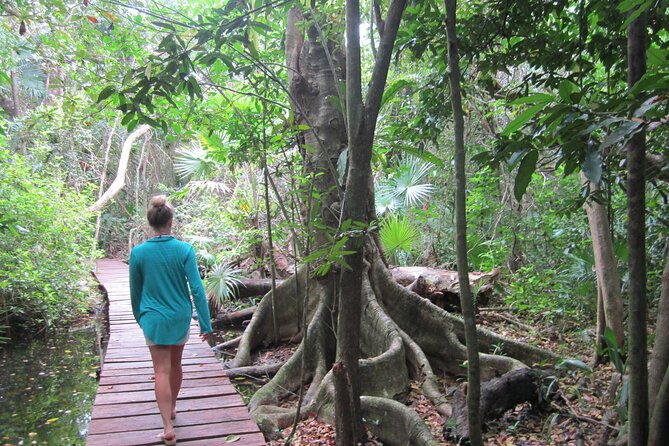 Private Birdwatching Tour in Sian Ka'an Muyil - Should you book the private birdwatching tour?