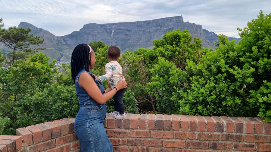 Private Cape of Good Hope and Penguins Full-Day Tour - Why this private Cape Peninsula day works