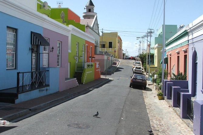 Private Cape of Good Hope and Penguins tour from Stellenbosch. - Chapmans Peak, where the road is part of the attraction