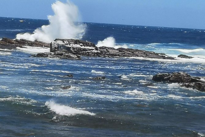 Private Cape of Good Hope and Penguins tour from Stellenbosch. - Maidens Cove and the Cape Town coast