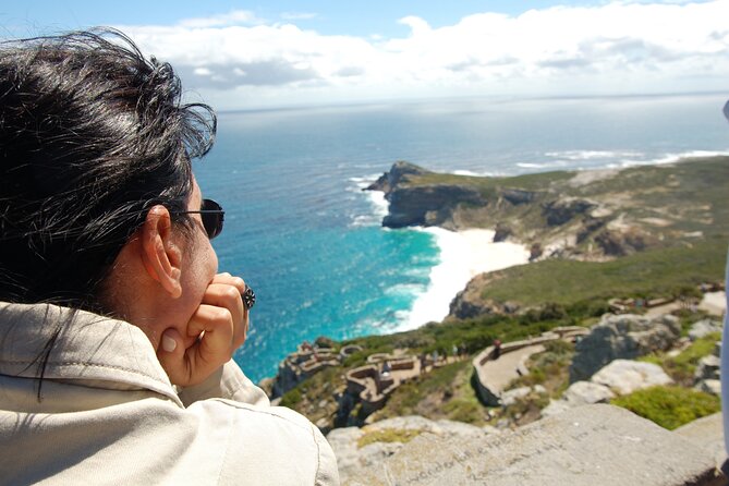 Private Cape of Good Hope and Penguins Tour with Luxury Mercedes or BMW Vehicle - Bo-Kaap and the Atlantic Seaboard