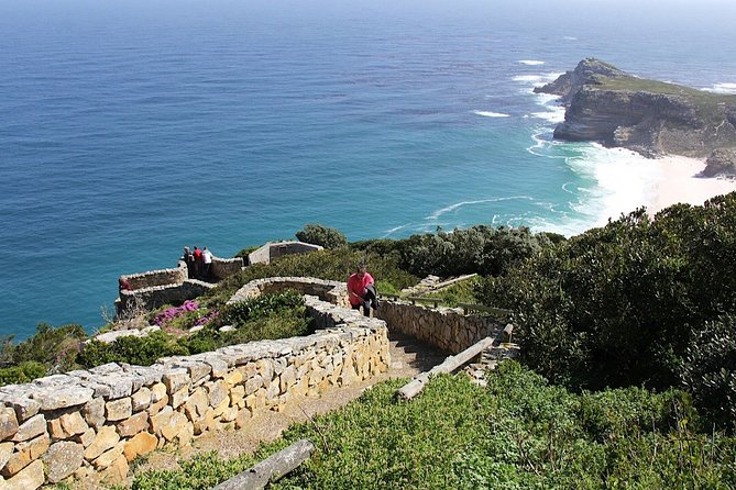 Private Cape of Good Hope and Penguins Tour with Luxury Mercedes or BMW Vehicle - Wine at Cape Point Vineyards