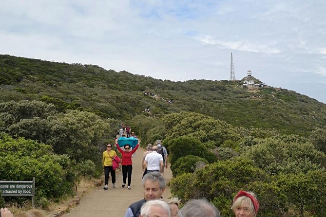 Private Cape of Good Hope Cape Point Penguin Kirstenbosch Tour. - Boulders Beach and the African penguins