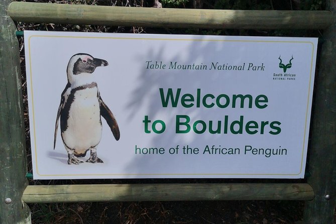 Private Cape of Good Hope Cape Point Penguin Kirstenbosch Tour. - Ostriches and the Cape Point farming stop