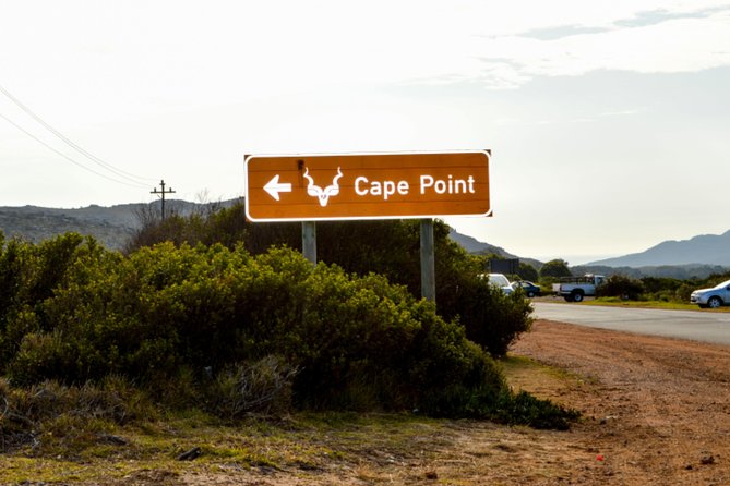 Private Cape of Good Hope Sightseeing and African Penguin Tour - The road south passes townships and an ostrich farm