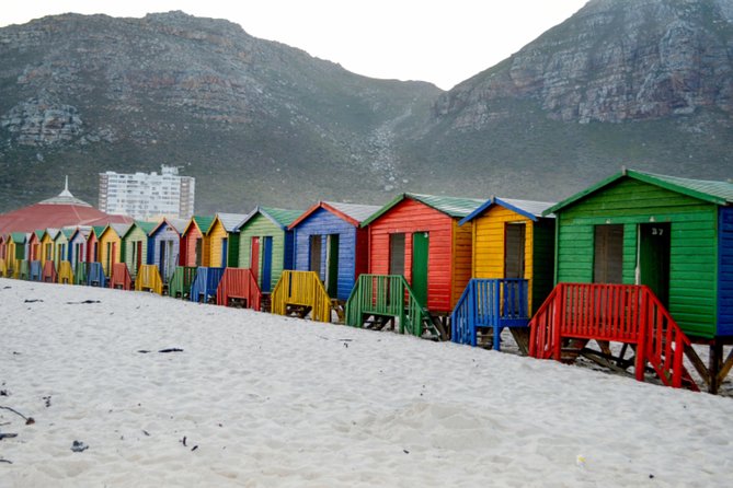Private Cape of Good Hope Sightseeing and African Penguin Tour - Boulders Beach brings you close to African penguins