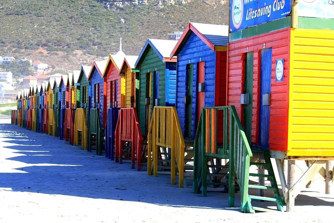Private Cape Peninsula Tour, With Close Range Penguin Encounter From Cape Town. - Chapman’s Peak is the scenic centerpiece