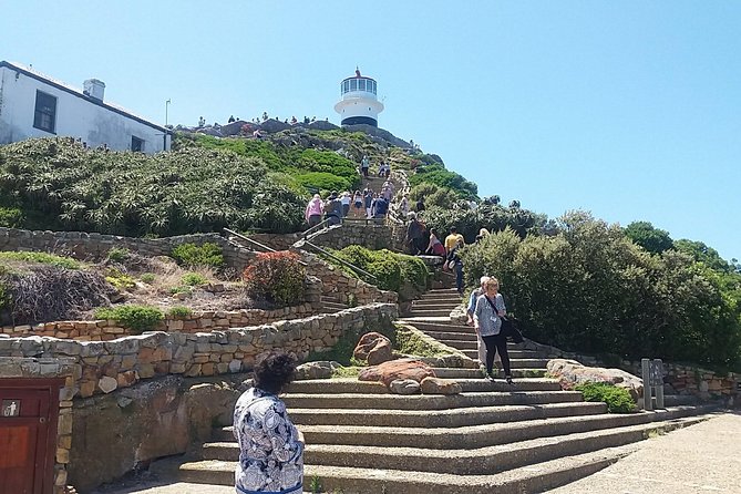 Private Cape Point Penguins Tour-Exploring the Cape Peninsula F/D - Hout Bay leaves room for a choice