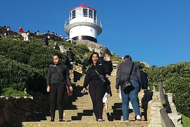 Private Cape Point Penguins Tour-Exploring the Cape Peninsula F/D - Chapman’s Peak is the visual high point