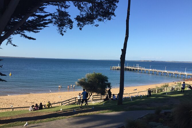 Private custom Penguin Tour with Premium Penguin Tickets - Starting from Melbourne with Mark