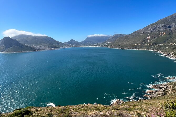 Private/Customised Cape Peninsula and Penguin Colony Tour - Who should book this Cape Peninsula tour?