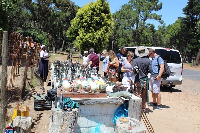 Private Day Tour to Cape of Good Hope Penguins Inc Entry Tickets from Cape Town - From Clifton’s beaches to Camps Bay’s postcard view