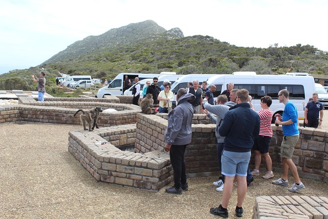 Private Day Tour to Cape of Good Hope Penguins Inc Entry Tickets from Cape Town - Simon’s Town, naval history, and lunch