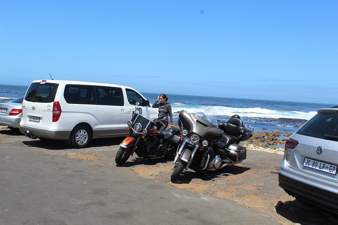 Private Day Tour to Cape of Good Hope Penguins Inc Entry Tickets from Cape Town - Boulders Beach and the African penguins